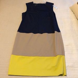Color block dress perfect for all occasions